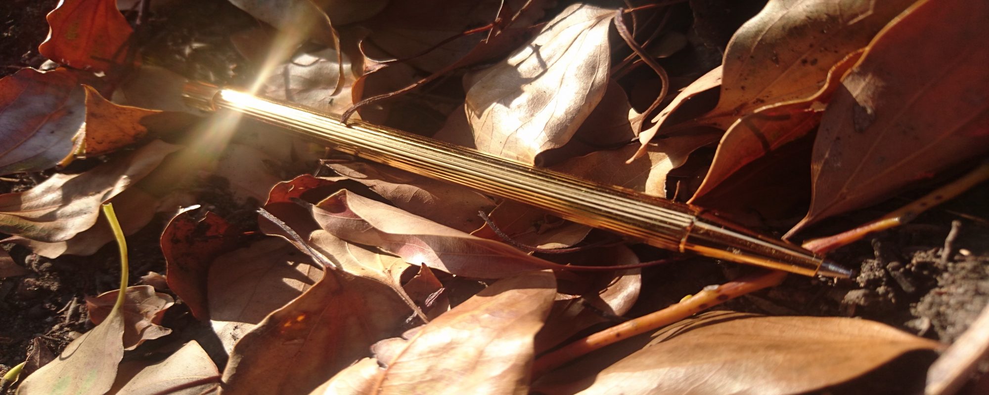 Michelle Shete editor English tutor writer Sydney Sheté