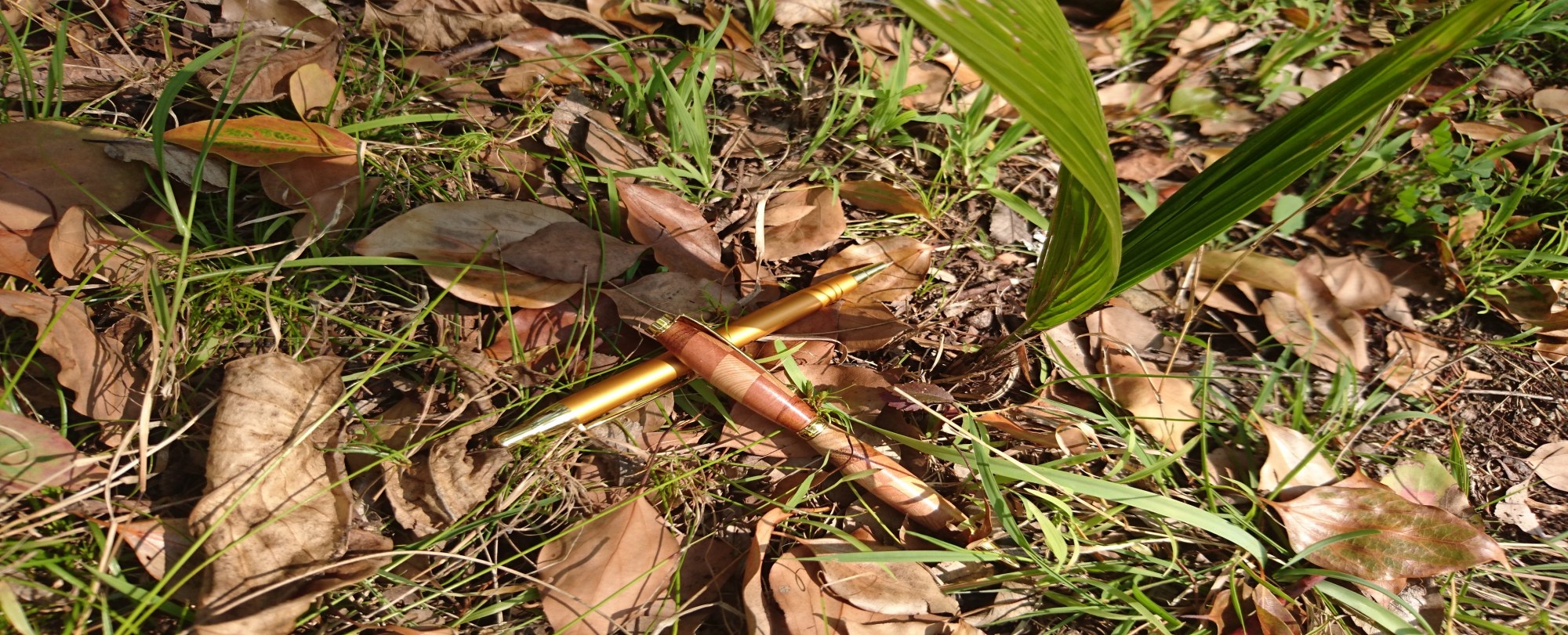 editor copy-editor essays students high school