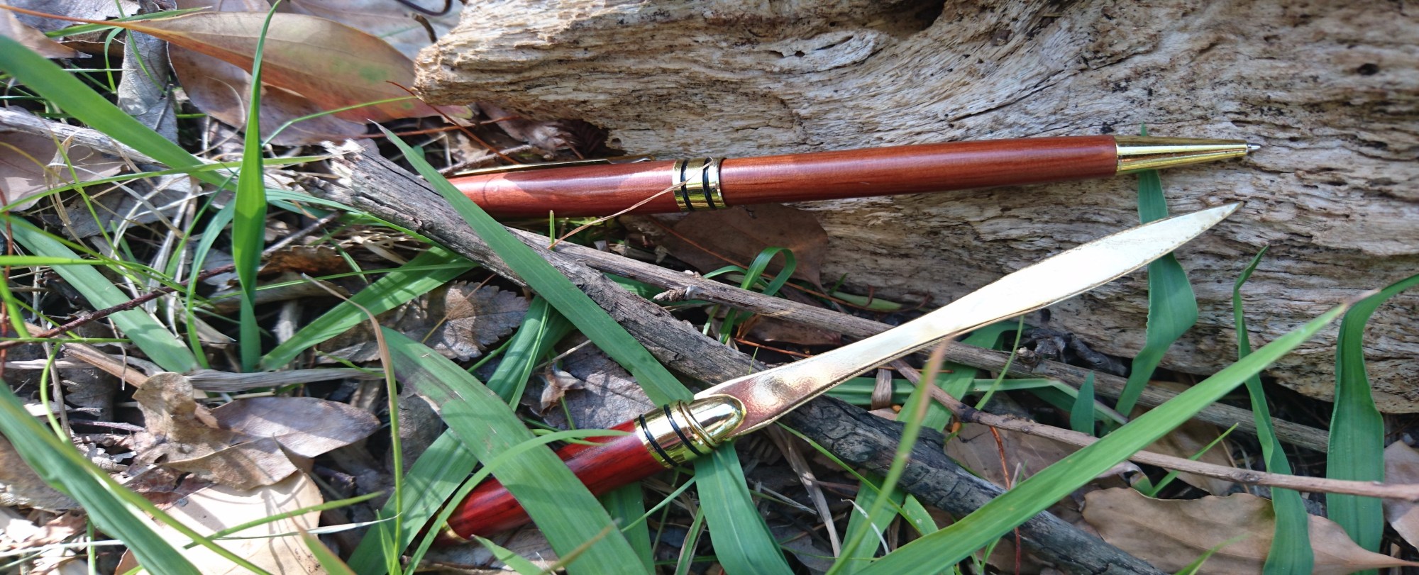 Online editor copy-editing student essays university