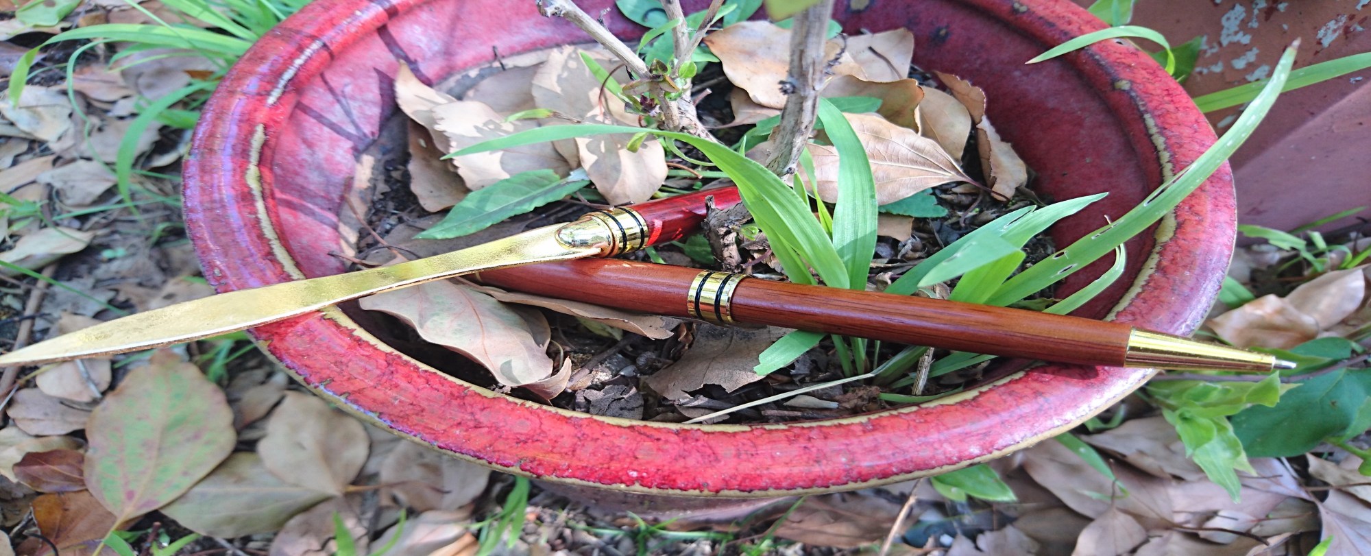 Editing Editor Online Professional Businesses English as Second Language