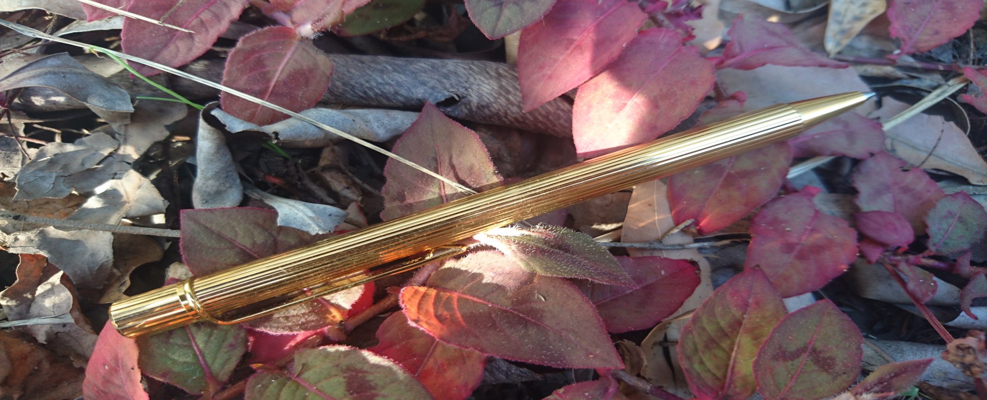 editor editing business professional reports brochures